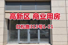 序号11：红松路313号1-11